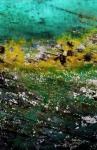 essauira1/2008 - (175 x 113 cm)